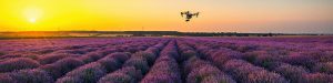 Drones-para-fumigar-en-queretaro-1-300x75