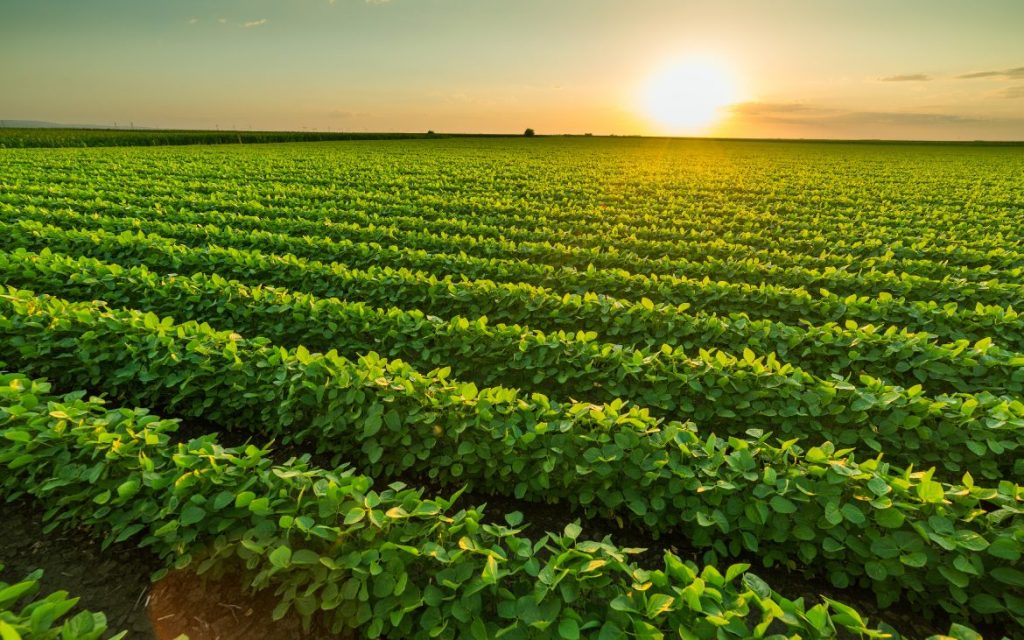 Drones para agricultura